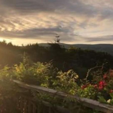 Stunning Views Of Ynyshir & Southern Snowdonia Machynlleth Exterior foto