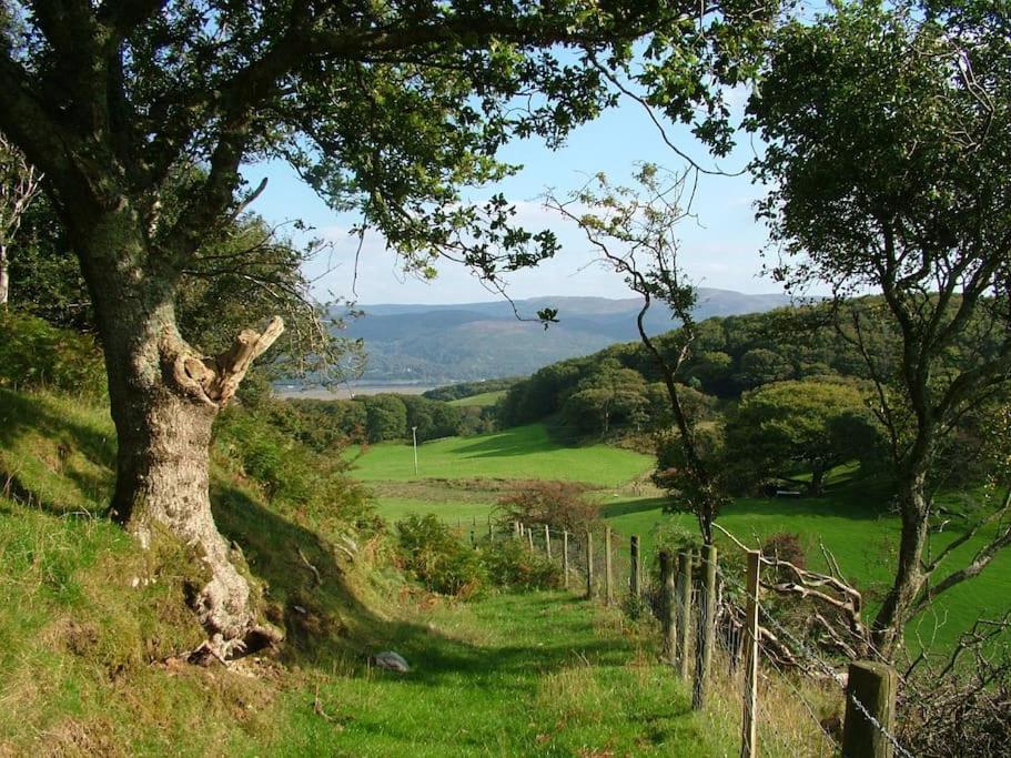 Stunning Views Of Ynyshir & Southern Snowdonia Machynlleth Exterior foto