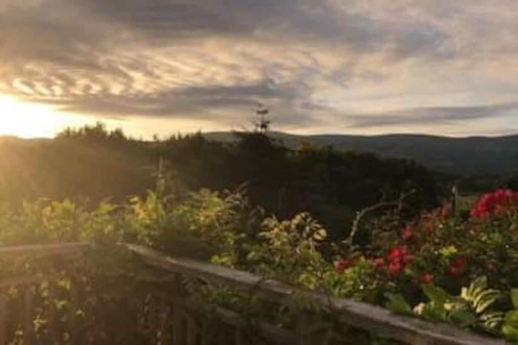 Stunning Views Of Ynyshir & Southern Snowdonia Machynlleth Exterior foto