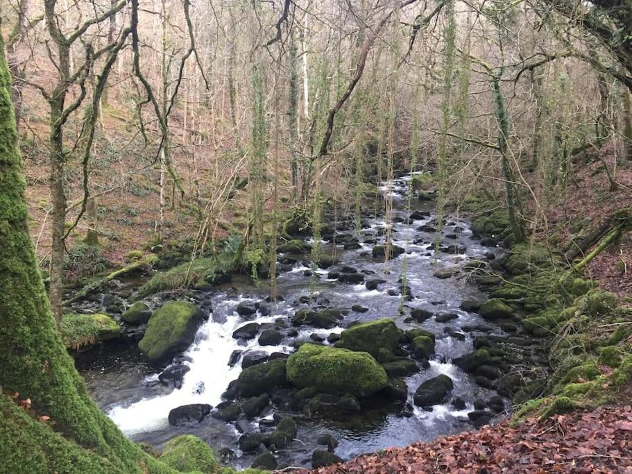 Stunning Views Of Ynyshir & Southern Snowdonia Machynlleth Exterior foto